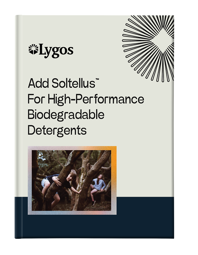 Lygos_ebookcover